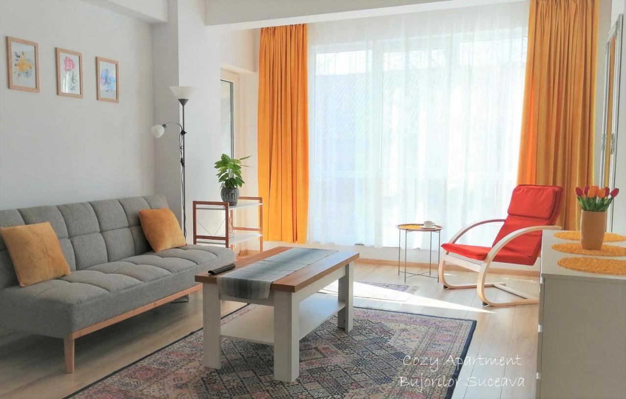 Cozy Apartment Bujorilor Suceava Exterior foto