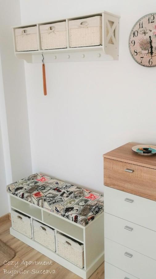 Cozy Apartment Bujorilor Suceava Exterior foto