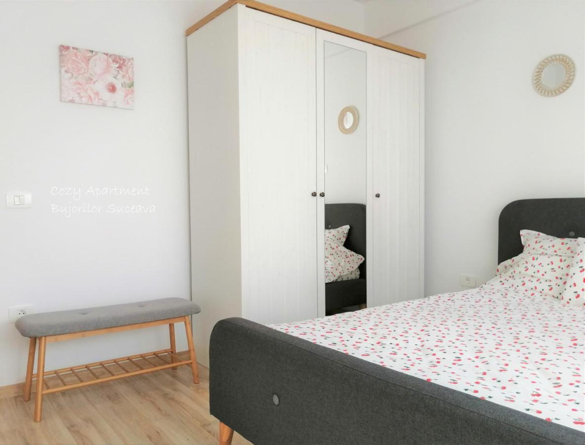 Cozy Apartment Bujorilor Suceava Exterior foto