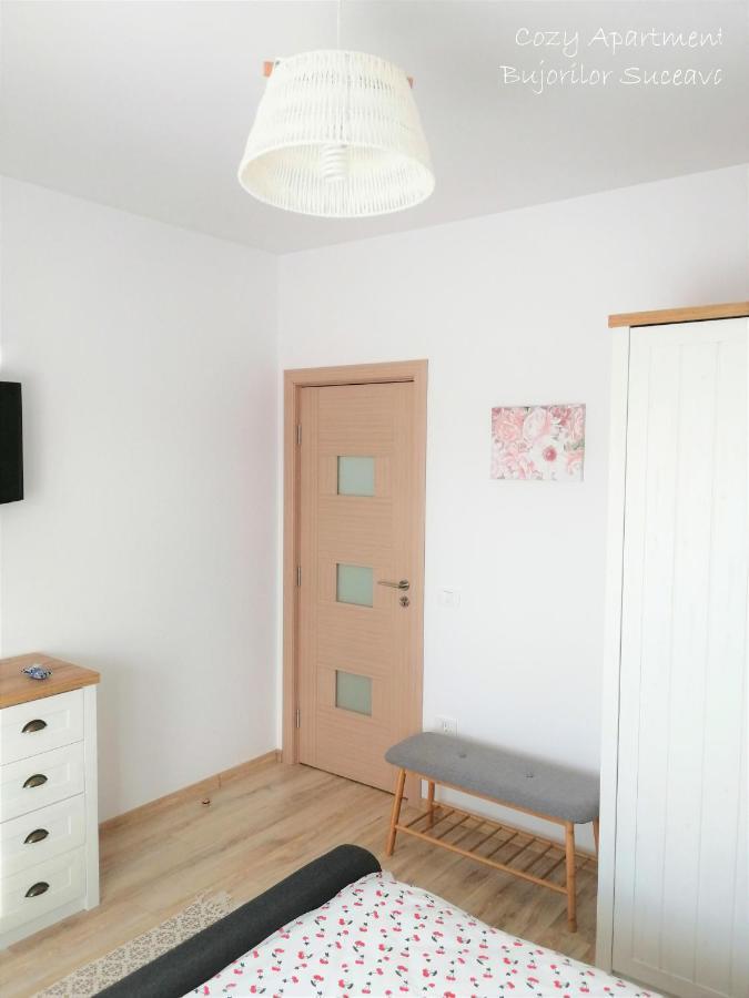 Cozy Apartment Bujorilor Suceava Exterior foto