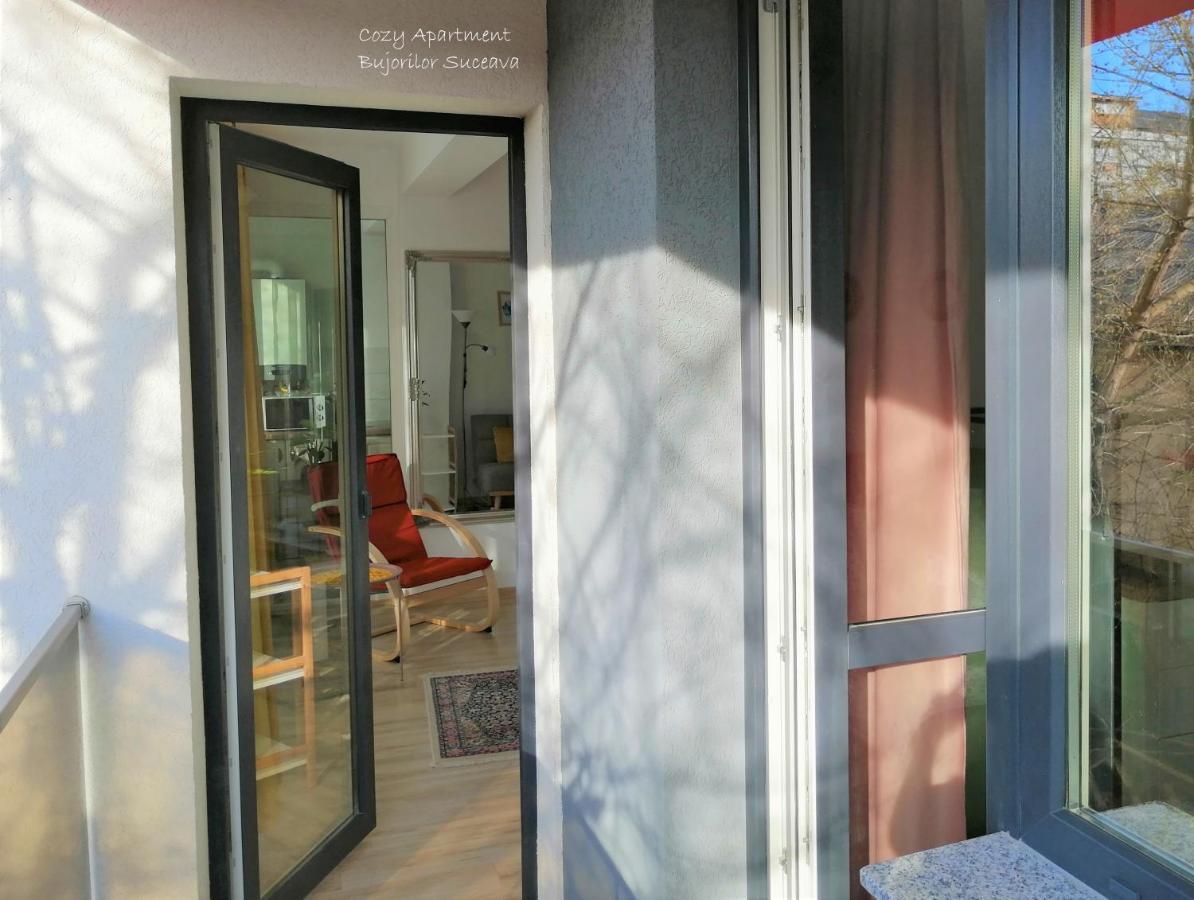 Cozy Apartment Bujorilor Suceava Exterior foto