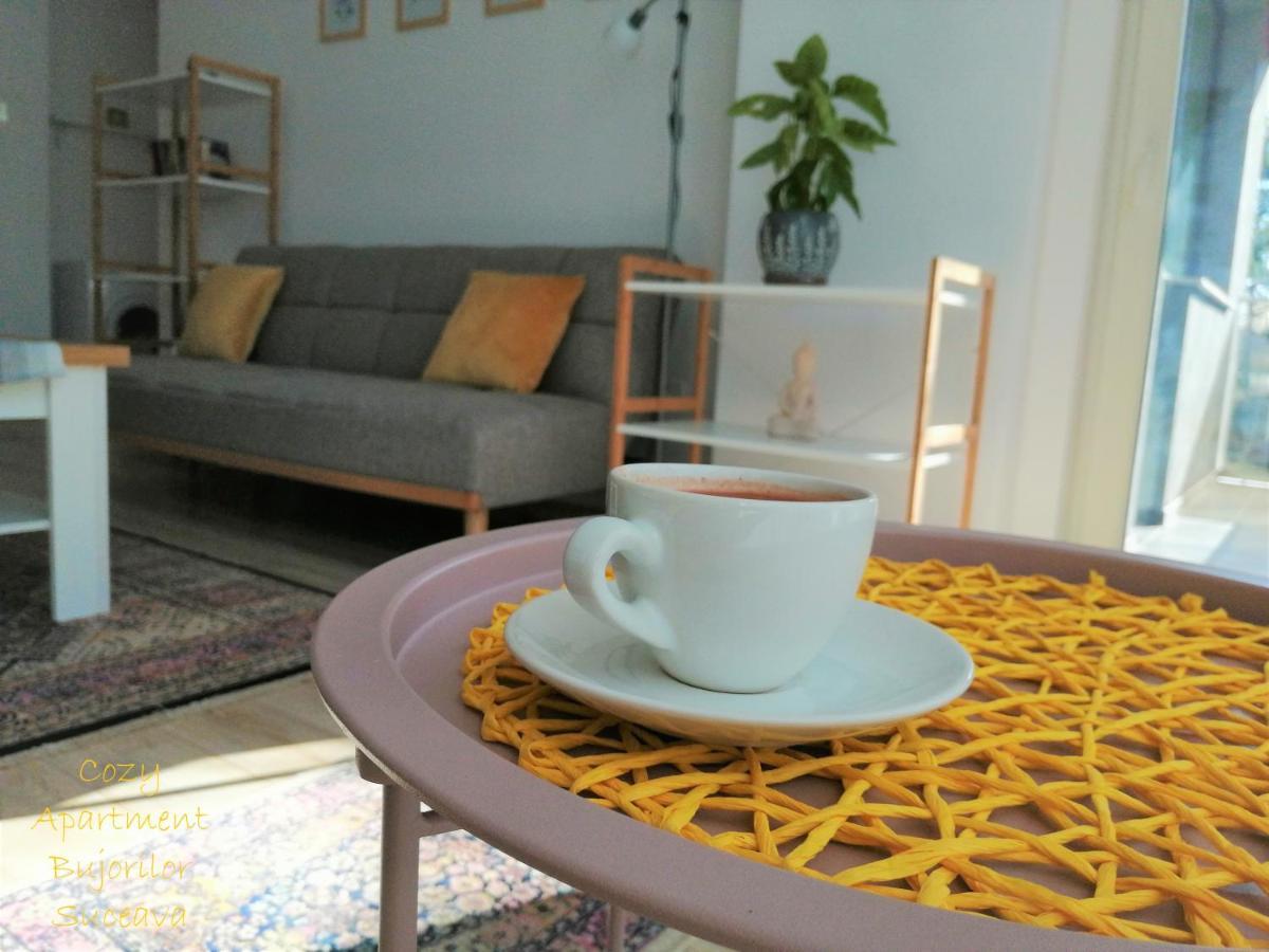 Cozy Apartment Bujorilor Suceava Exterior foto
