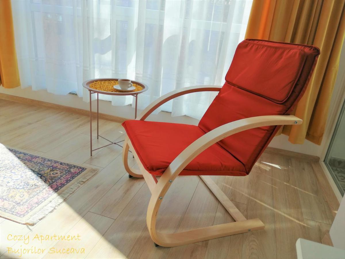 Cozy Apartment Bujorilor Suceava Exterior foto