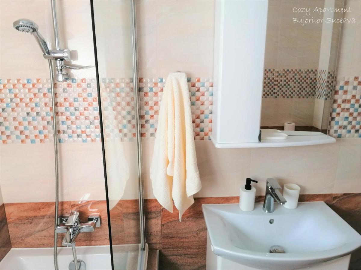 Cozy Apartment Bujorilor Suceava Exterior foto