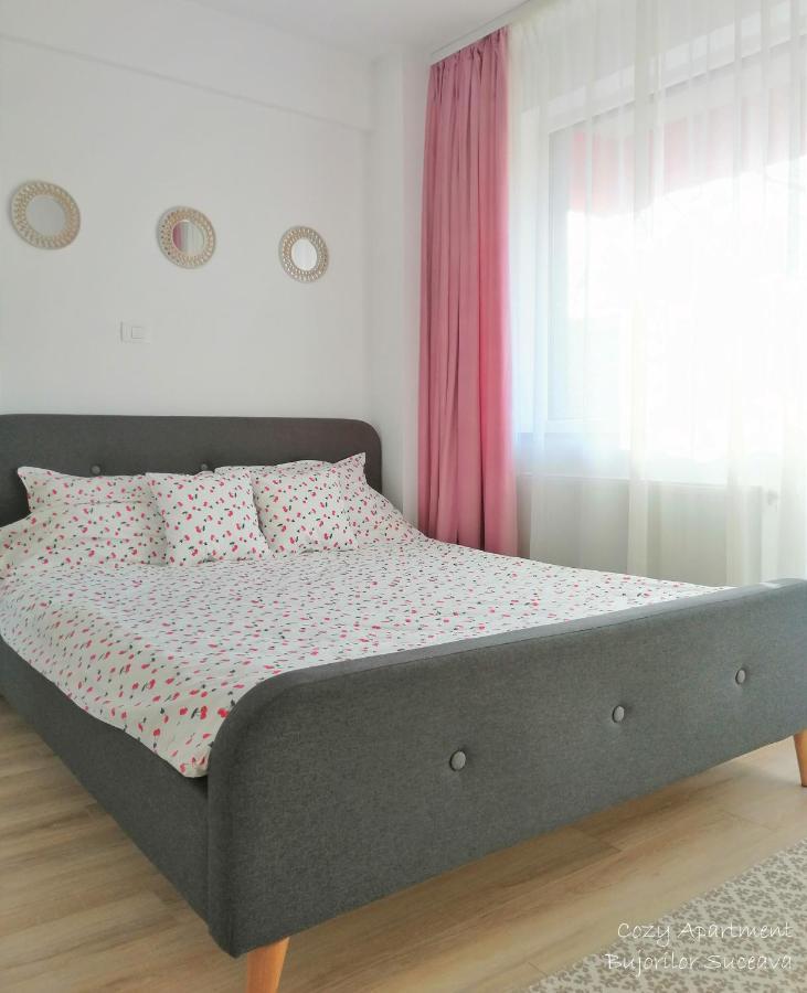 Cozy Apartment Bujorilor Suceava Exterior foto